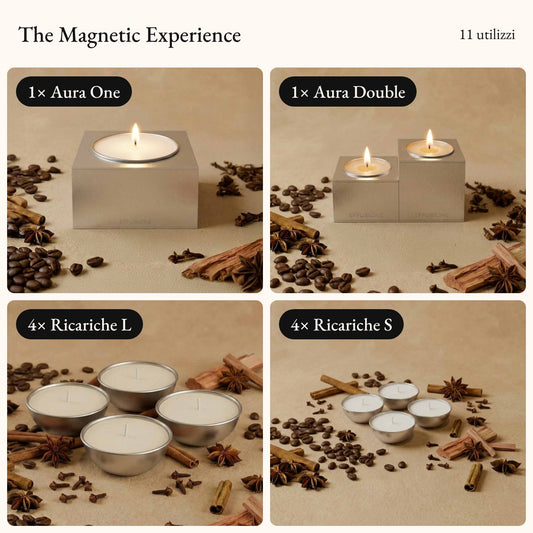 Cosa c'è dentro · The Magnetic Experience · Baraggia