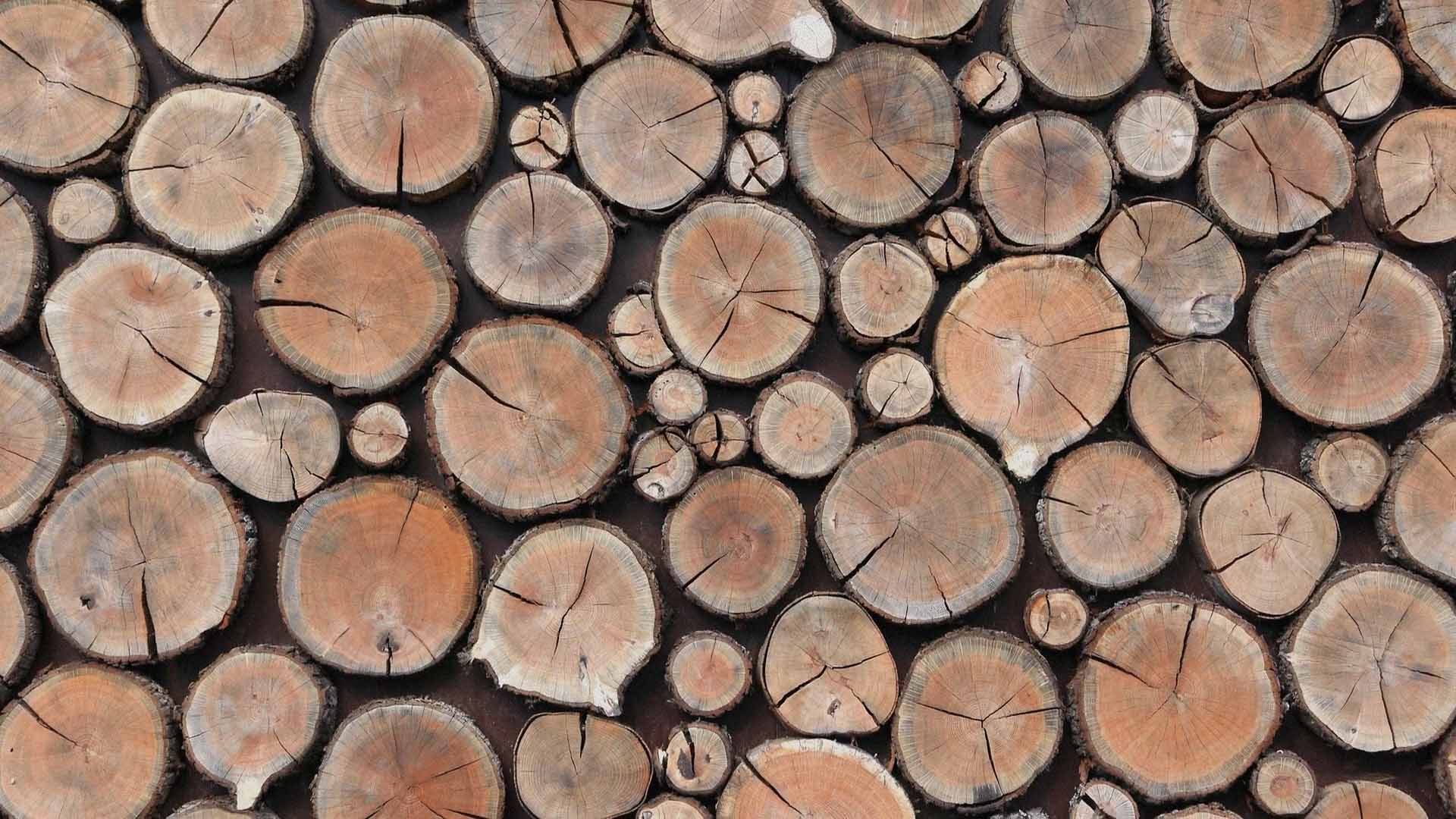 Sezioni di legno naturale note legnose fragranza Baraggia Effusione