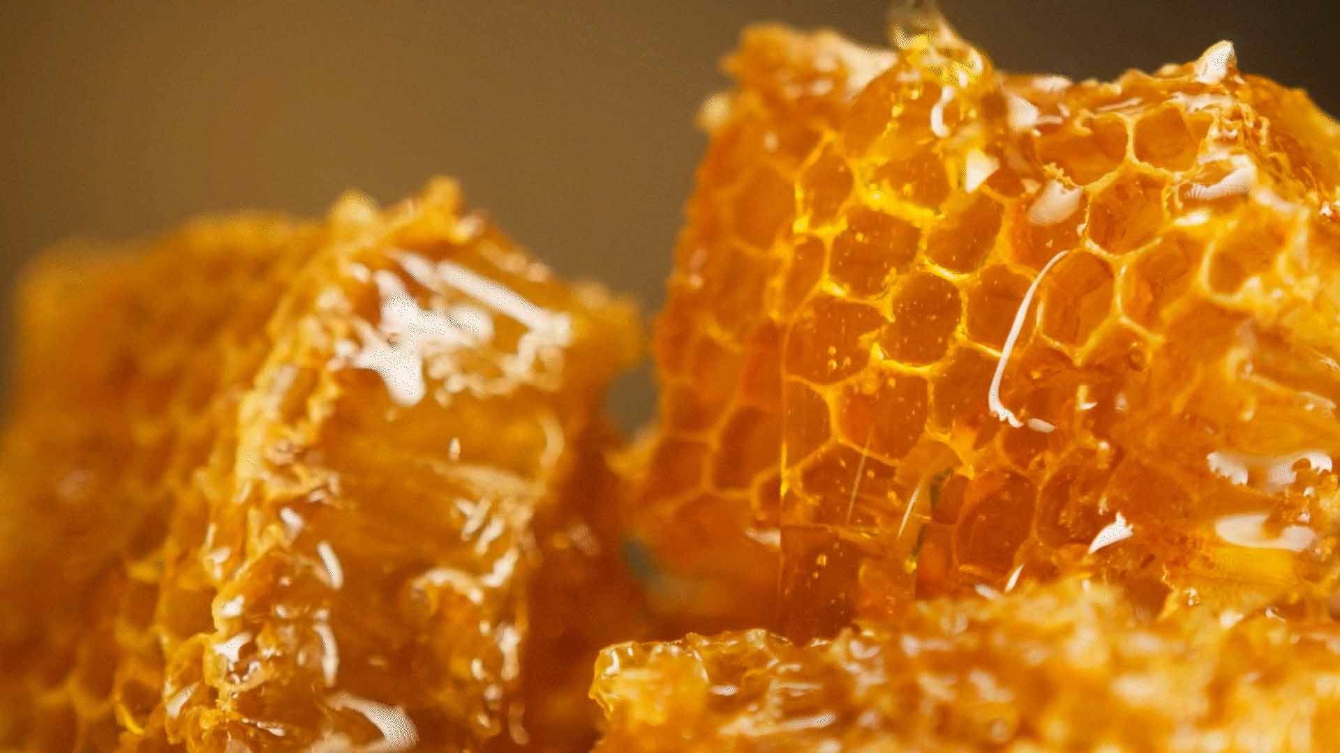 Miele dorato note dolci e avvolgenti fragranza Uva Rara Effusione