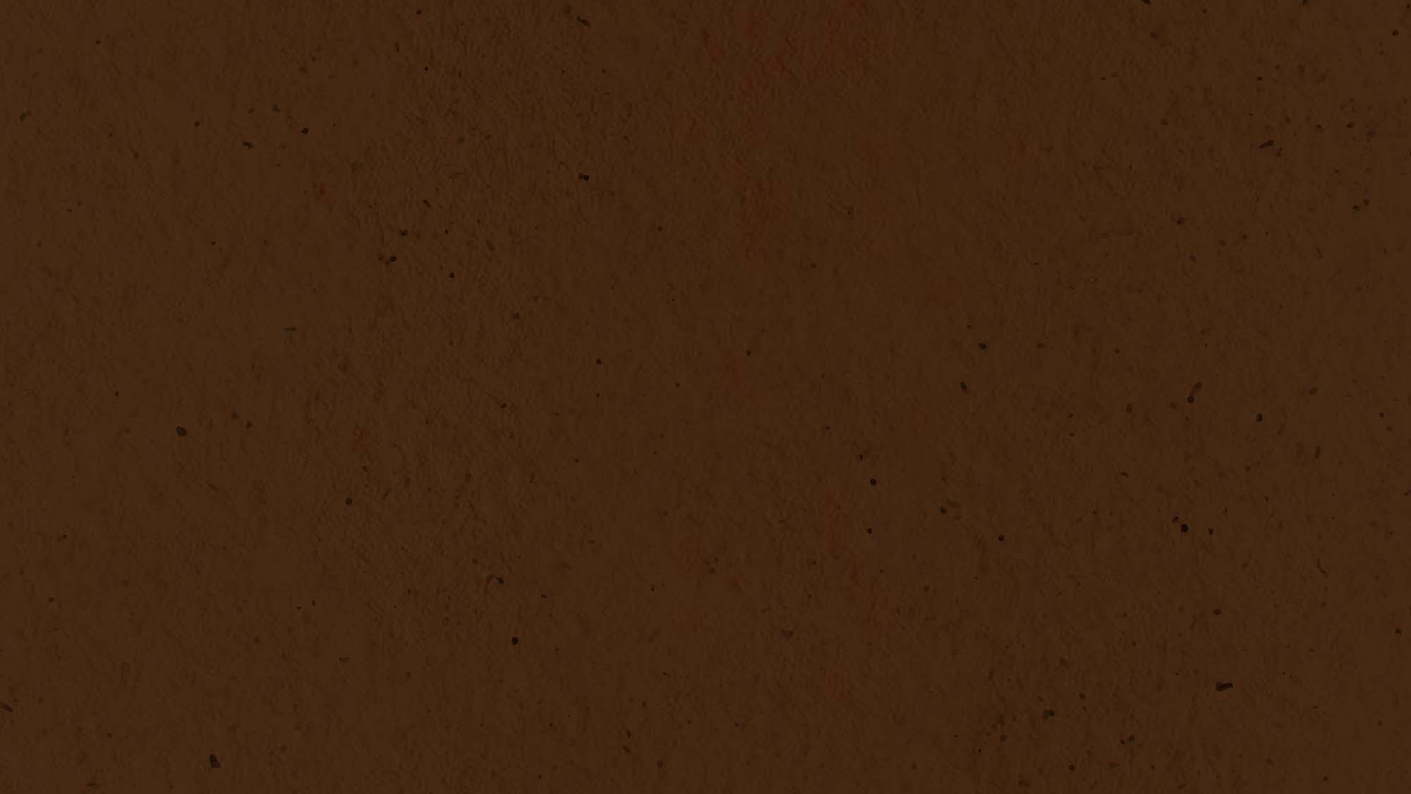 Texture calda ispirata alla fragranza Baraggia Effusione con note speziate e ambrate